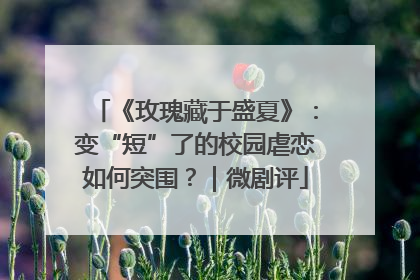 《玫瑰藏于盛夏》：变“短”了的校园虐恋如何突围？｜微剧评