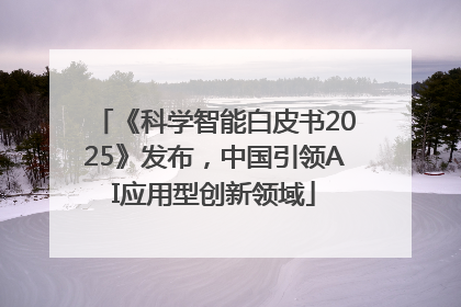 《科学智能白皮书2025》发布，中国引领AI应用型创新领域