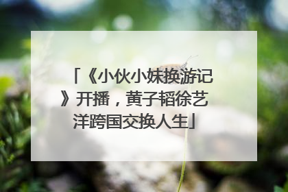 《小伙小妹换游记》开播，黄子韬徐艺洋跨国交换人生