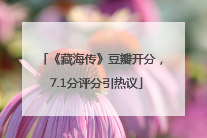 《藏海传》豆瓣开分，7.1分评分引热议