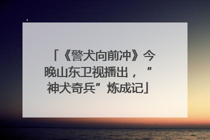 《警犬向前冲》今晚山东卫视播出，“神犬奇兵”炼成记