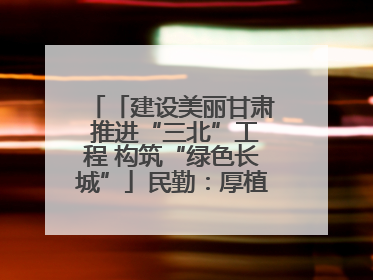 「建设美丽甘肃 推进“三北”工程 构筑“绿色长城”」民勤：厚植生态底色 筑牢绿色屏障