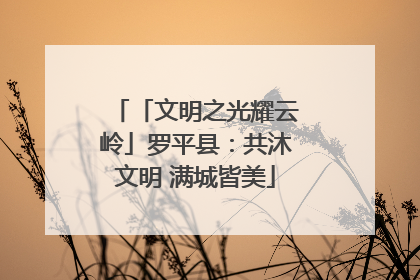 「文明之光耀云岭」罗平县：共沐文明 满城皆美