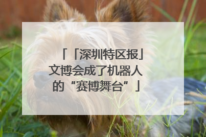 「深圳特区报」文博会成了机器人的“赛博舞台”