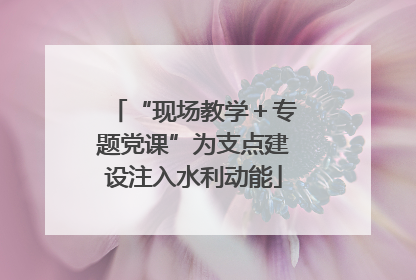 “现场教学＋专题党课”为支点建设注入水利动能