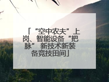 “空中农夫”上岗、智能设备“把脉” 新技术新装备竞技田间