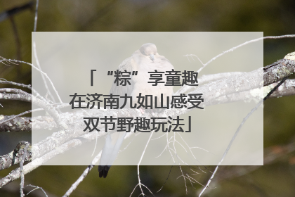 “粽”享童趣 在济南九如山感受双节野趣玩法