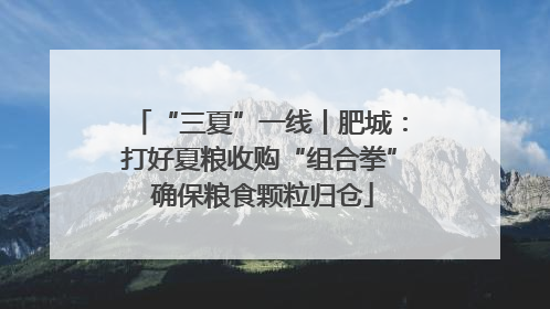 “三夏”一线丨肥城：打好夏粮收购“组合拳” 确保粮食颗粒归仓