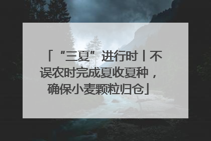 “三夏”进行时丨不误农时完成夏收夏种，确保小麦颗粒归仓