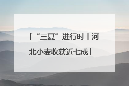 “三夏”进行时丨河北小麦收获近七成