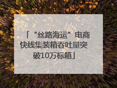 “丝路海运”电商快线集装箱吞吐量突破10万标箱