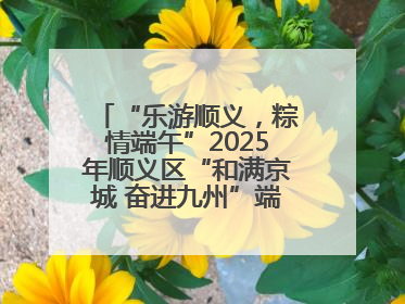 “乐游顺义，粽情端午”2025年顺义区“和满京城 奋进九州”端午主题活动启幕