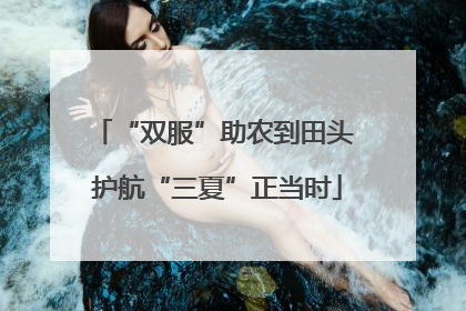 “双服”助农到田头 护航“三夏”正当时