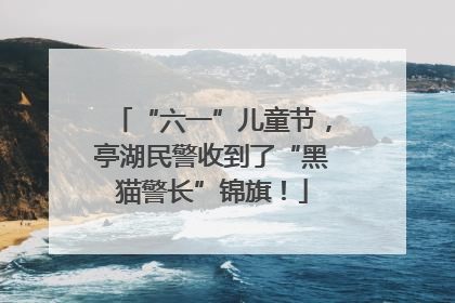 “六一”儿童节，亭湖民警收到了“黑猫警长”锦旗！