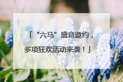 “六马”盛意邀约，多项狂欢活动来袭！