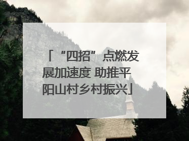 “四招”点燃发展加速度 助推平阳山村乡村振兴