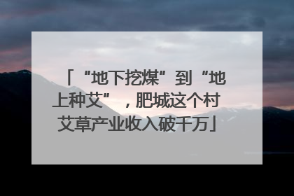 “地下挖煤”到“地上种艾”，肥城这个村艾草产业收入破千万