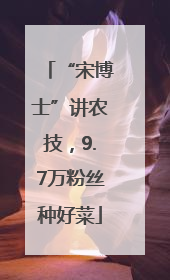 “宋博士”讲农技，9.7万粉丝种好菜