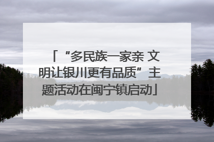 “多民族一家亲 文明让银川更有品质”主题活动在闽宁镇启动