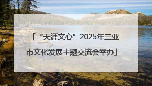 “天涯文心”2025年三亚市文化发展主题交流会举办