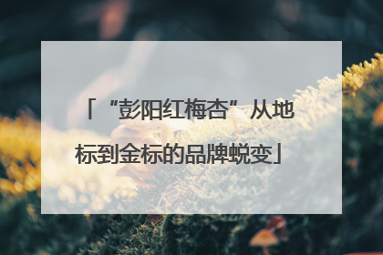 “彭阳红梅杏”从地标到金标的品牌蜕变