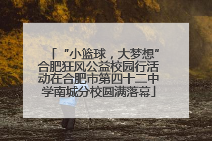 “小篮球，大梦想”合肥狂风公益校园行活动在合肥市第四十二中学南城分校圆满落幕
