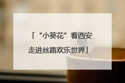 “小葵花”看西安走进丝路欢乐世界