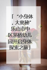 “小身体，大奥秘” 乐山市中区茅桥幼儿园开启身体探索之旅