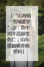 “山海情・雪域援梦”②：鲁中肉羊高原零伤亡，山东援藏破养殖密码