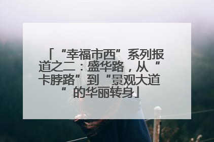 “幸福市西”系列报道之二：盛华路，从“卡脖路”到“景观大道”的华丽转身