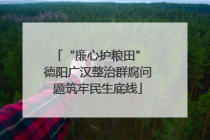 “廉心护粮田” 德阳广汉整治群腐问题筑牢民生底线