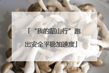 “我的韶山行”跑出安全平稳加速度