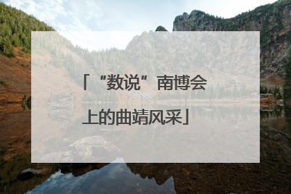 “数说”南博会上的曲靖风采