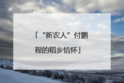 “新农人”付鹏程的稻乡情怀