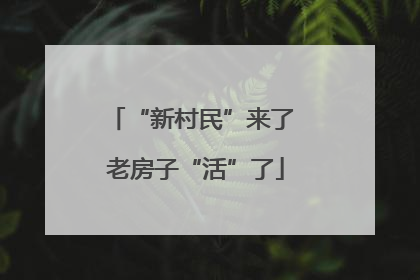 “新村民”来了 老房子“活”了