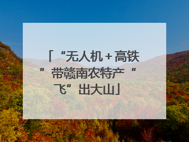 “无人机＋高铁”带赣南农特产“飞”出大山