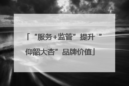 “服务+监管”提升“仰韶大杏”品牌价值