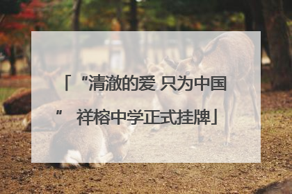 “清澈的爱 只为中国” 祥榕中学正式挂牌