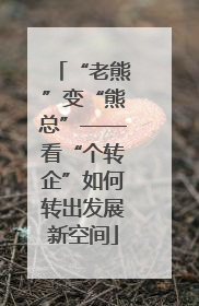 “老熊”变“熊总”——看“个转企”如何转出发展新空间