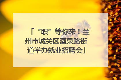 “职”等你来！兰州市城关区酒泉路街道举办就业招聘会