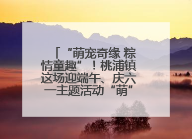 “萌宠奇缘 粽情童趣”！桃浦镇这场迎端午、庆六一主题活动“萌”翻全场～