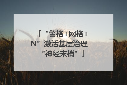 “警格+网格+N”激活基层治理“神经末梢”
