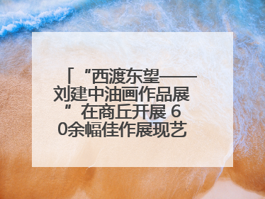“西渡东望——刘建中油画作品展”在商丘开展 60余幅佳作展现艺术魅力
