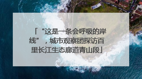 “这是一条会呼吸的岸线”，城市观察团探访百里长江生态廊道青山段