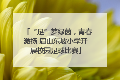 “足”梦绿茵，青春激扬 眉山东坡小学开展校园足球比赛