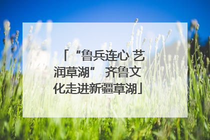 “鲁兵连心 艺润草湖” 齐鲁文化走进新疆草湖