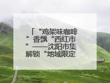 “鸡架味咖啡”香飘“西红市”——沈阳市集解锁“地域限定”消费新场景