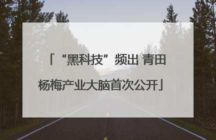 “黑科技”频出 青田杨梅产业大脑首次公开