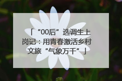 “00后”选调生上岗记：用青春激活乡村文旅“气象万千”