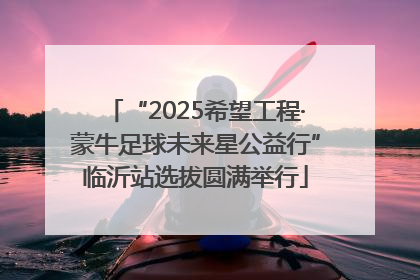 “2025希望工程·蒙牛足球未来星公益行”临沂站选拔圆满举行